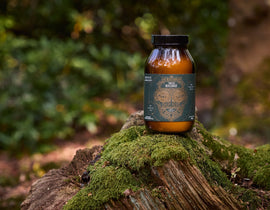 True Biome: The Next Chapter in Gut Health Science