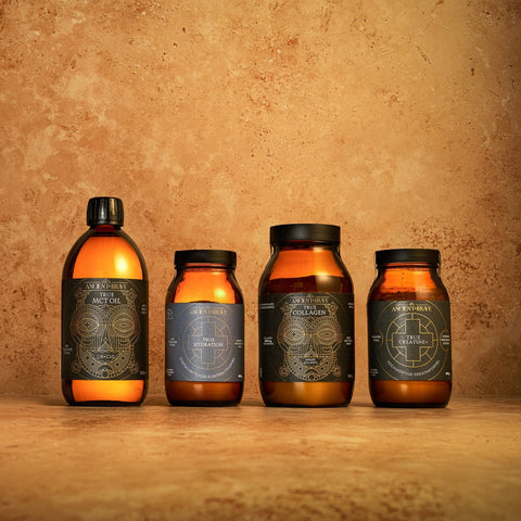 Die ultimative Workout Kollektion