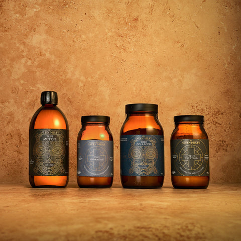 Die ultimative Workout Kollektion Die ultimative Workout Kollektion